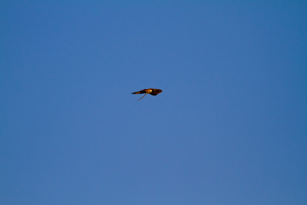 20110416-065653