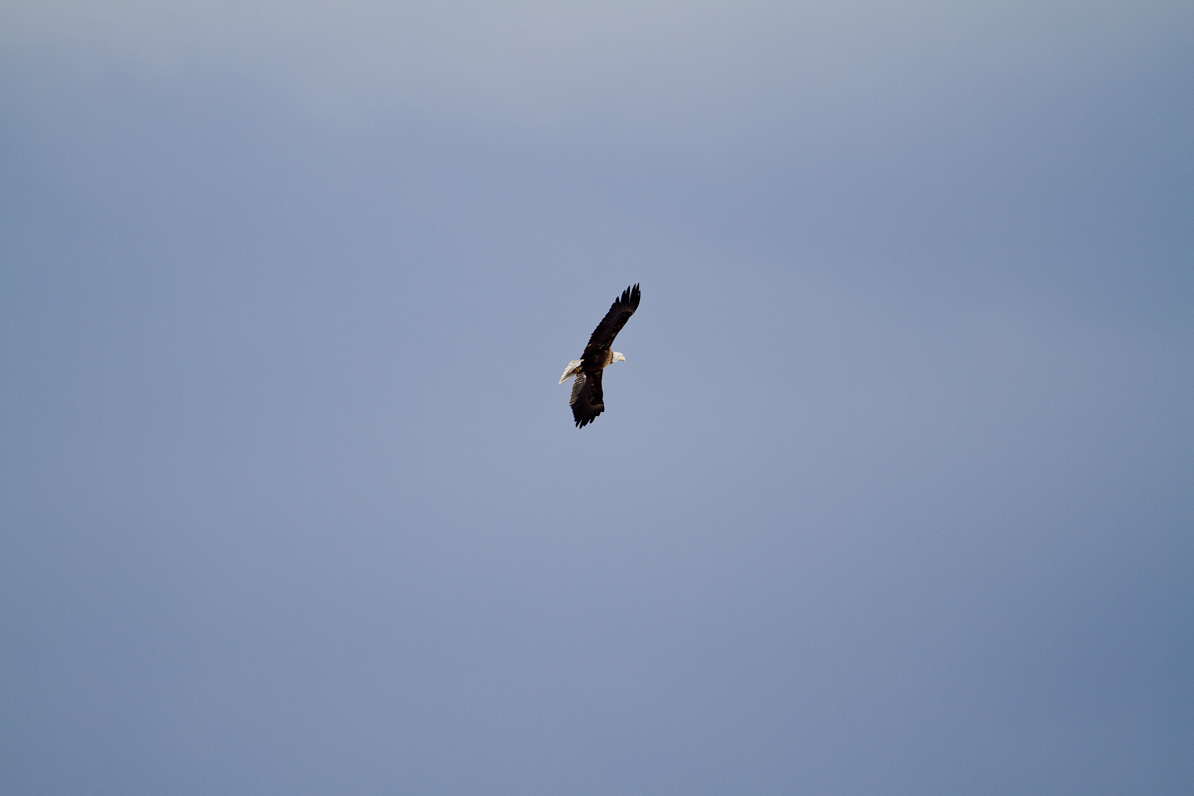 20110410-075208-4