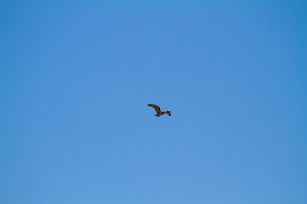 20110221-153049-2