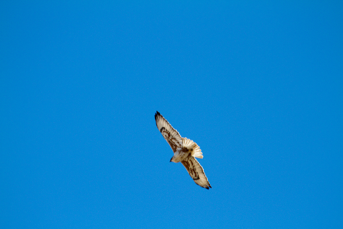 20110221-153112-3