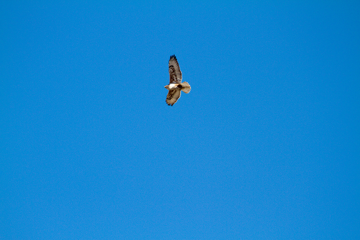 20110221-153120-3