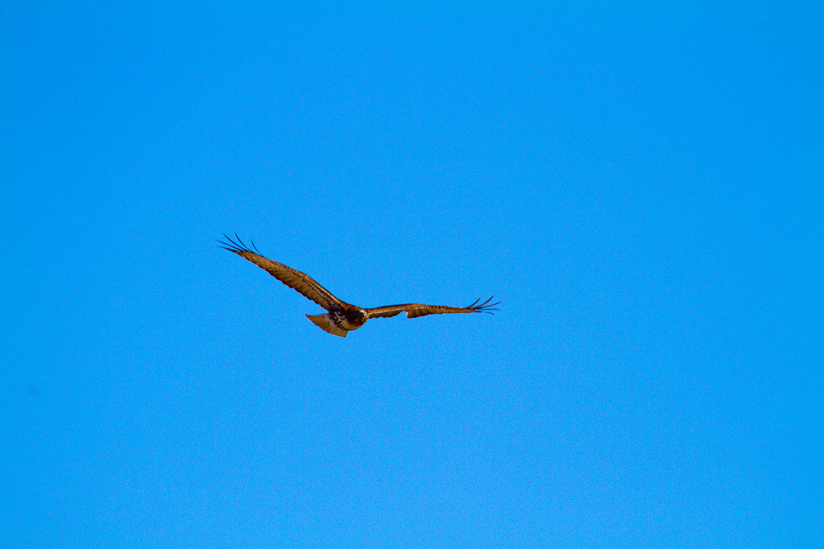 20110221-155044-2
