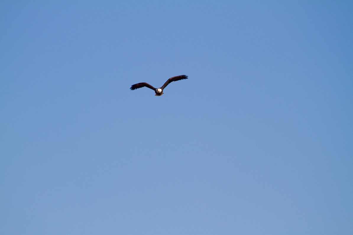 20110221-161322-2