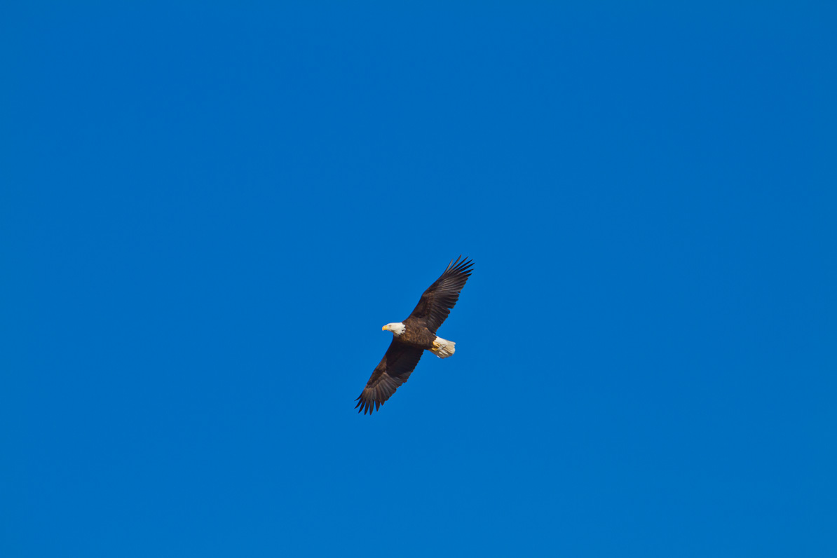20110221-161331