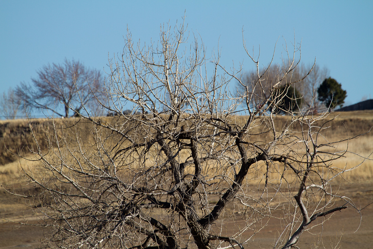 20110222-163422