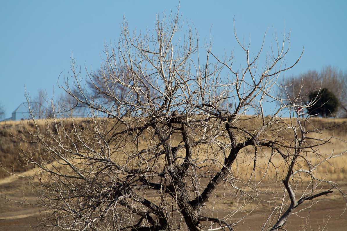 20110222-163600