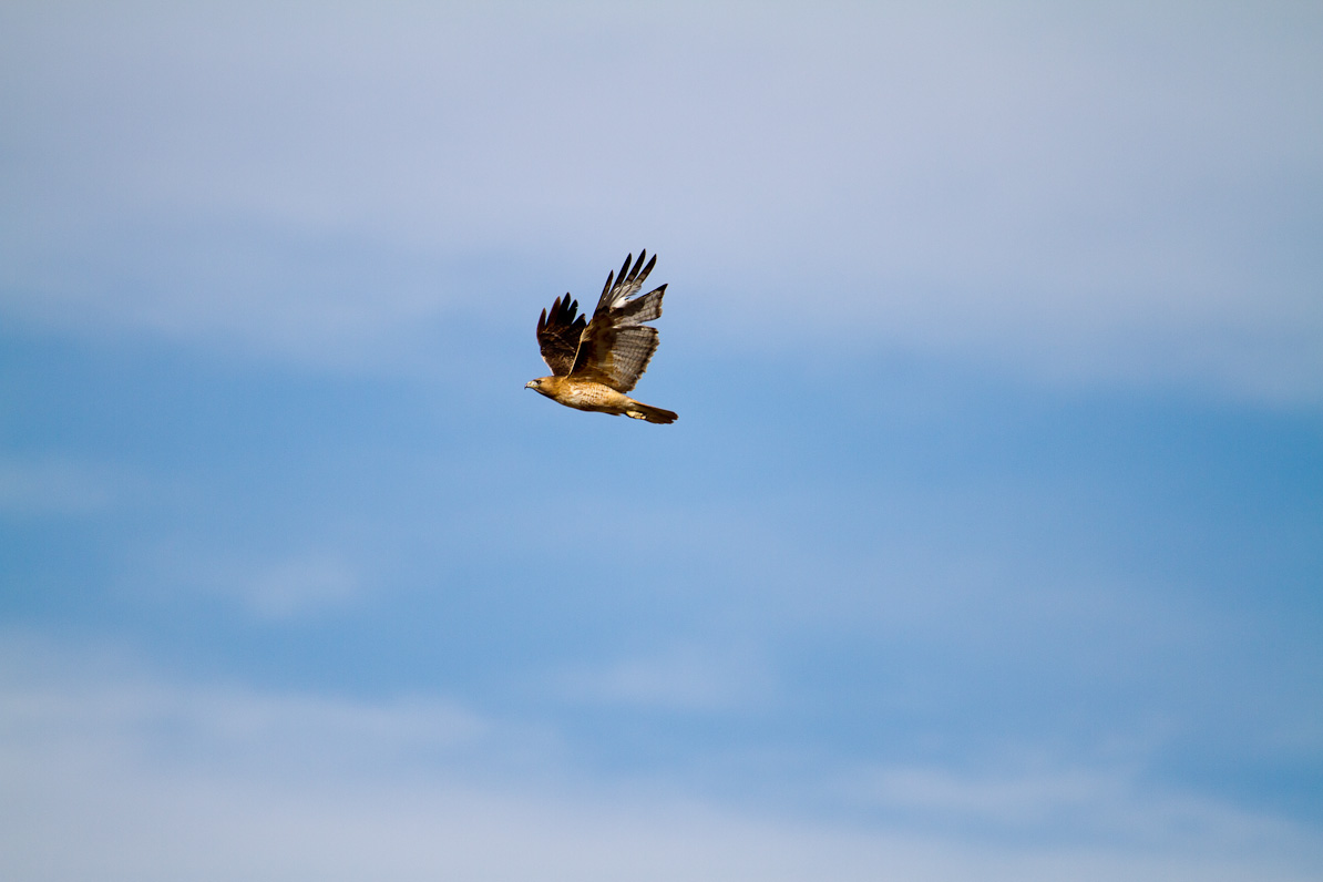 20110302-164606-2