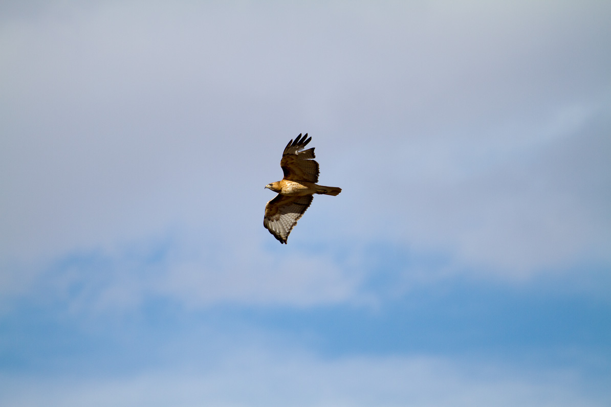 20110302-164609-2