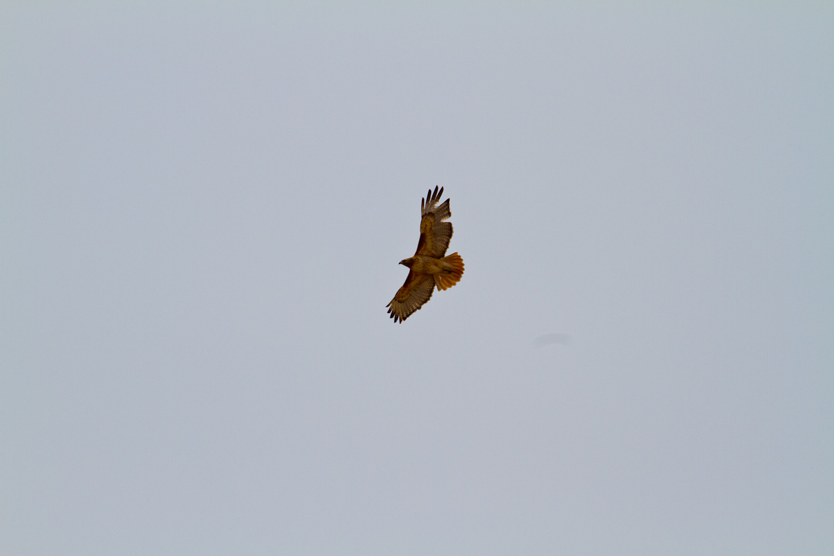 20110306-111853-2