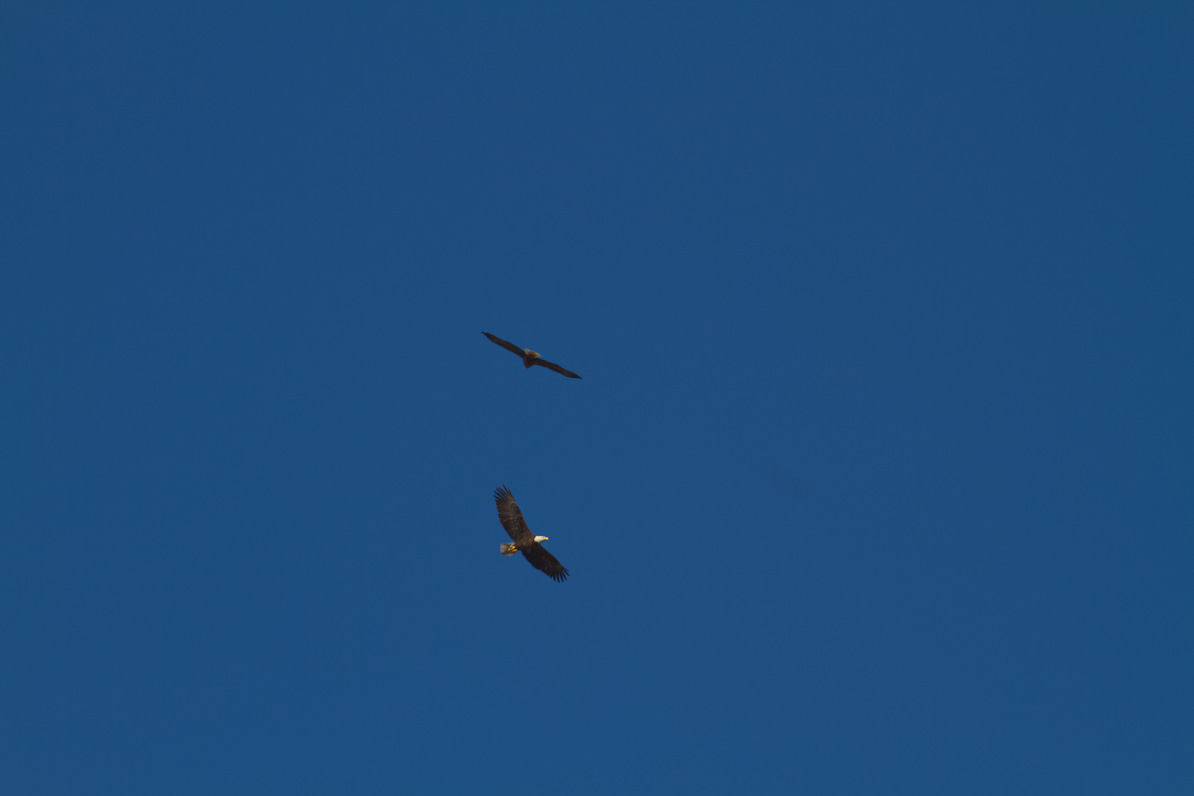 20110310-170435