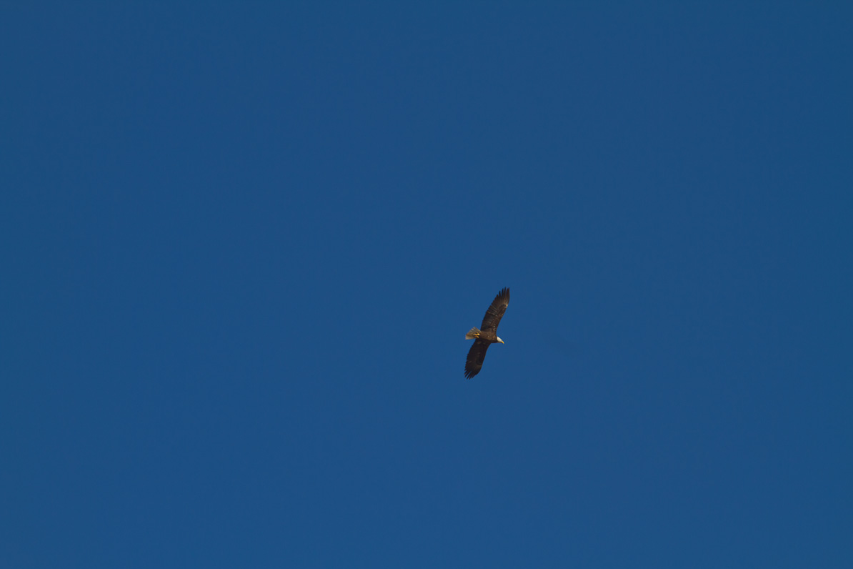 20110310-170451