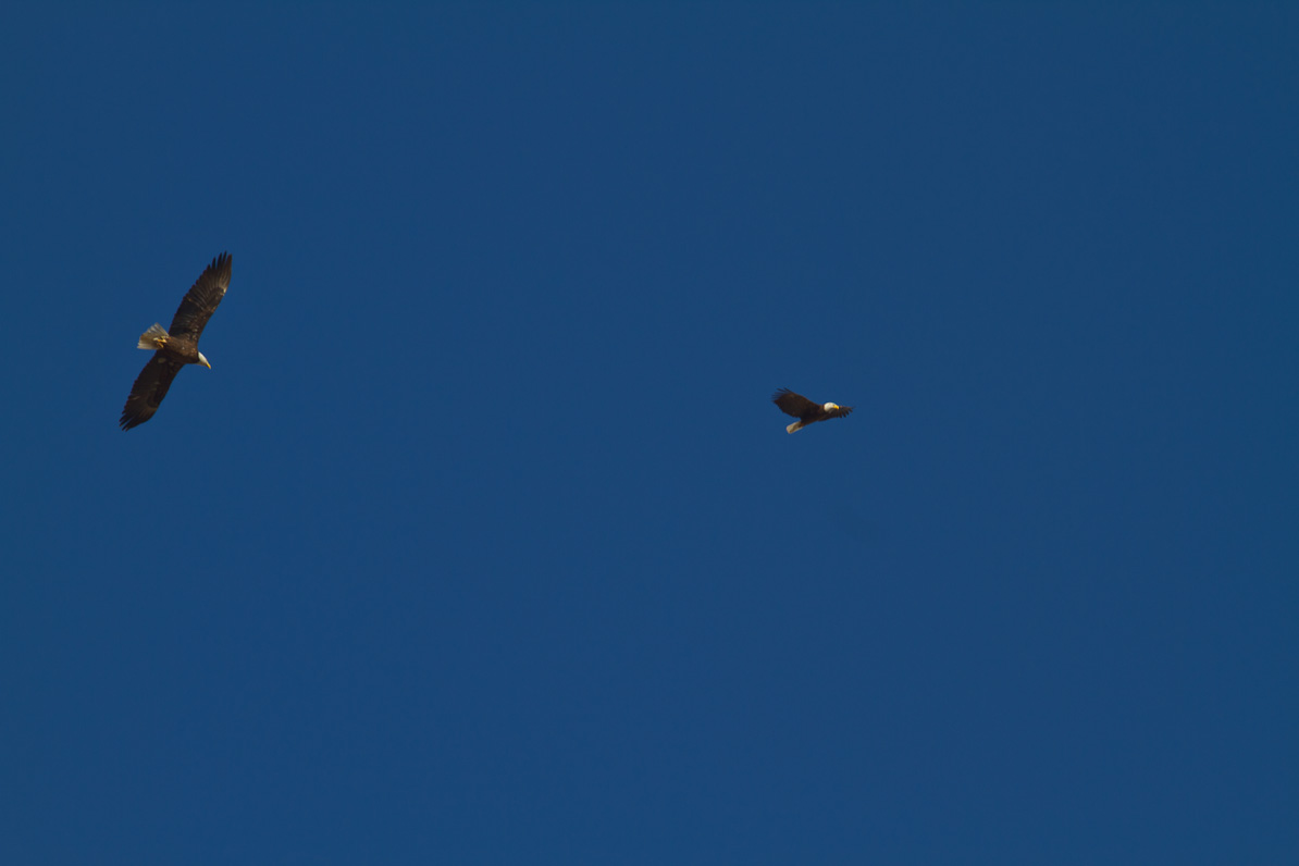 20110310-170537