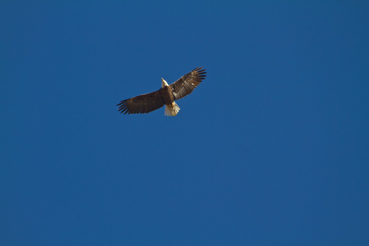 20110310-170626-2