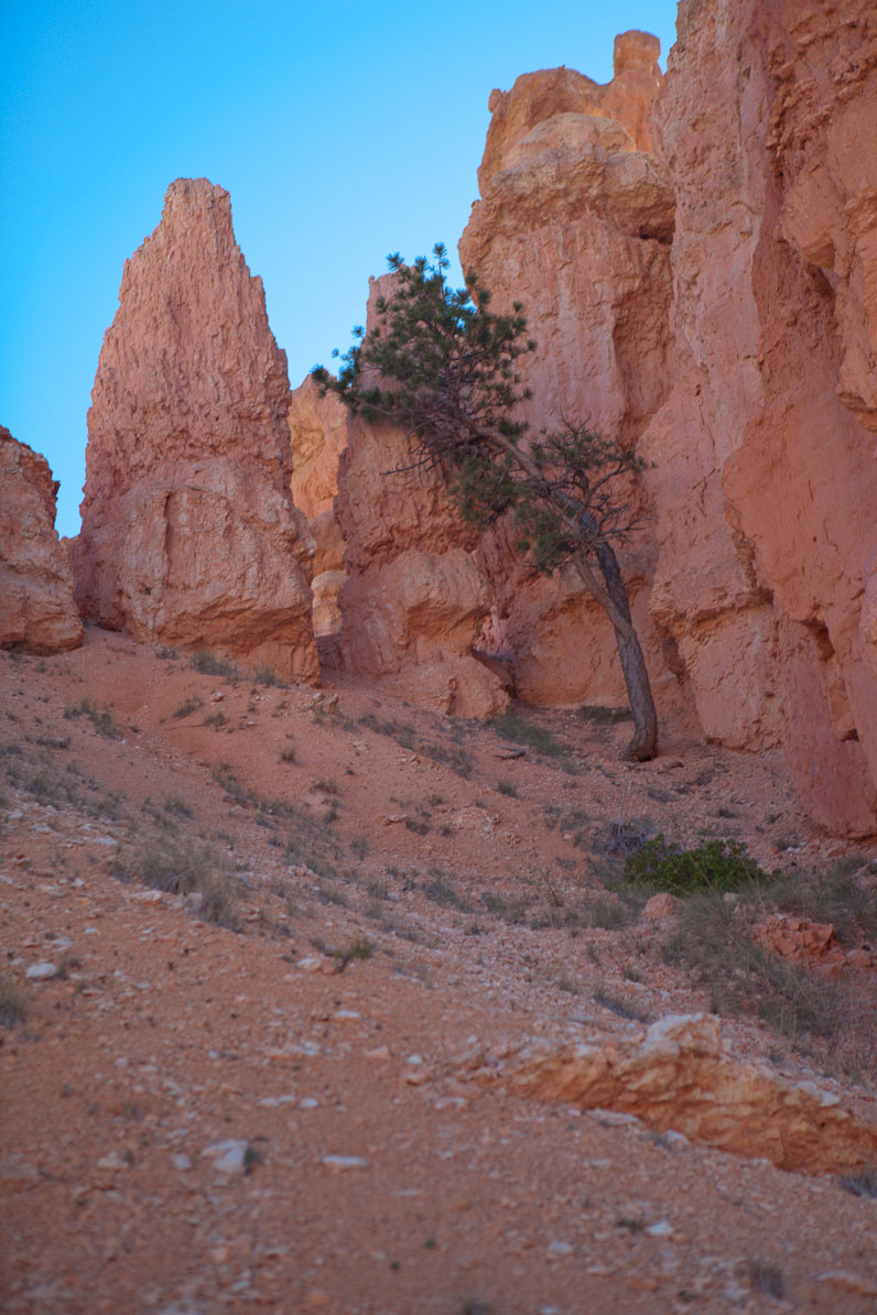 20110528-084216