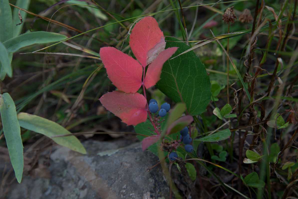 20110917-102111